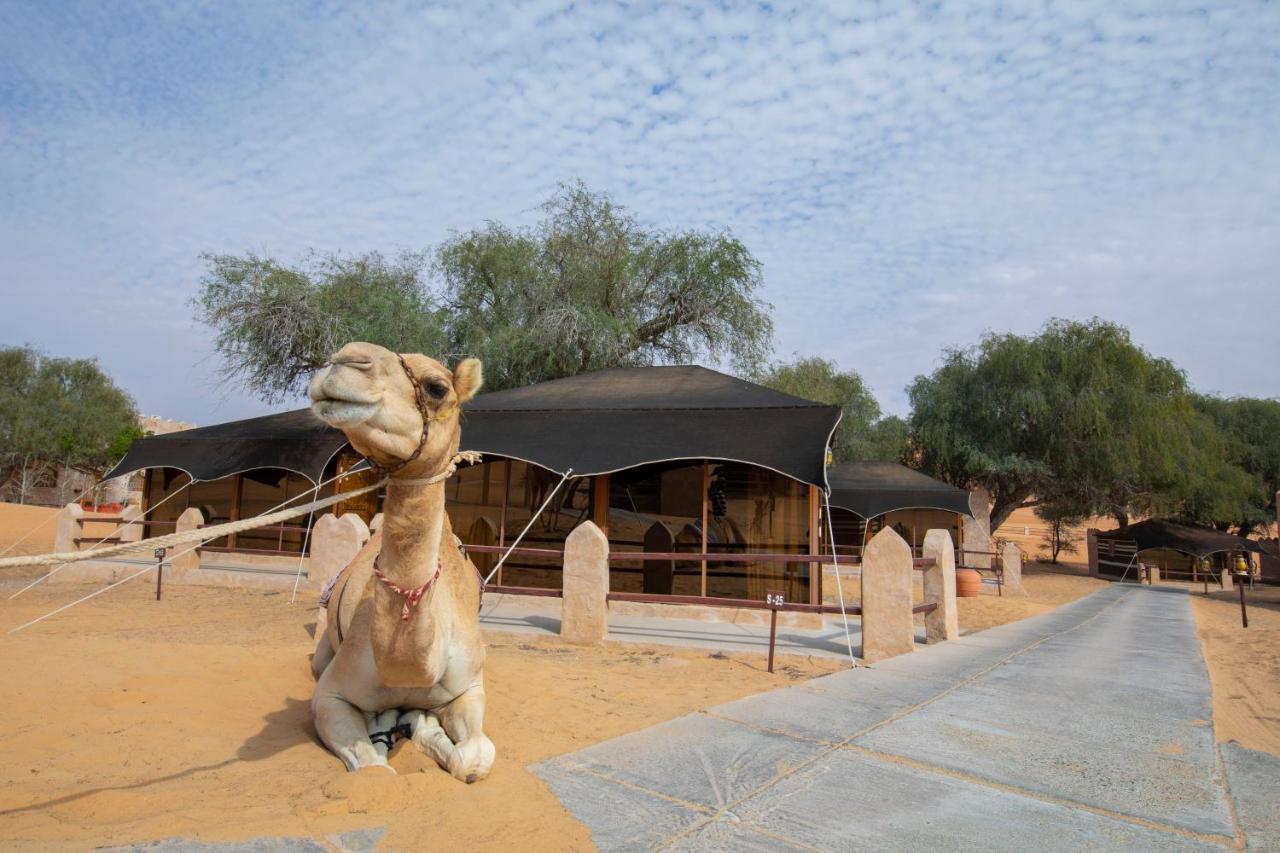 Thousand Nights Camp Shāhiq Exterior photo